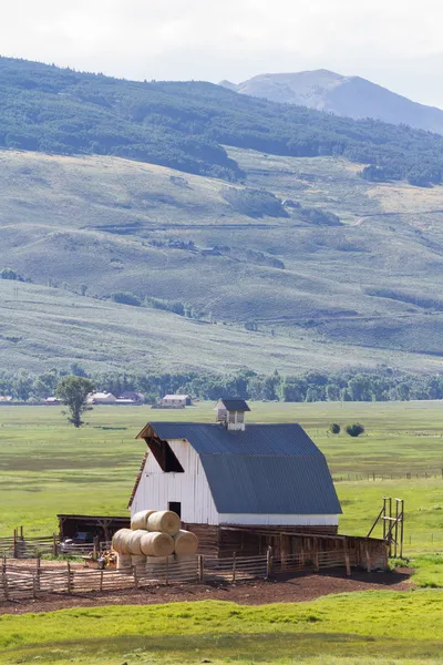 Beyaz barn — Stok fotoğraf