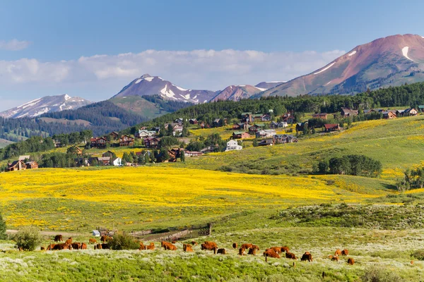 Valley — Stock Photo, Image