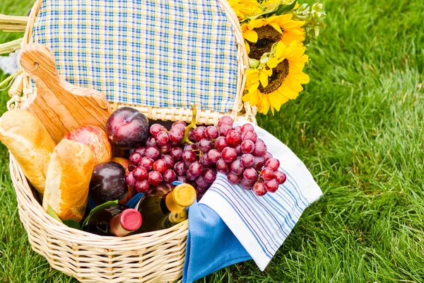 Picnic. — Foto de Stock