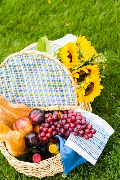 Picnic — Foto Stock