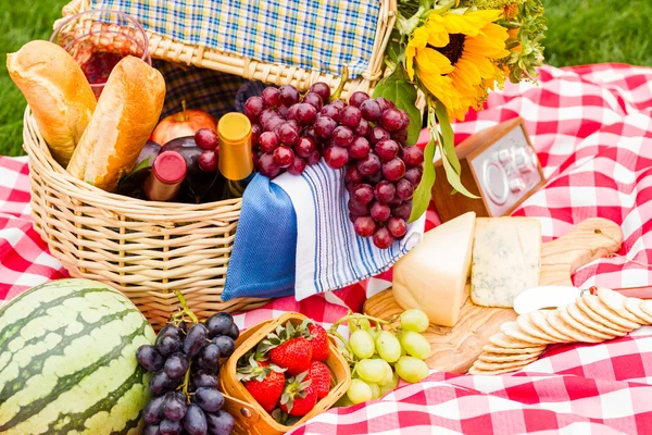 Picnic. — Foto de Stock