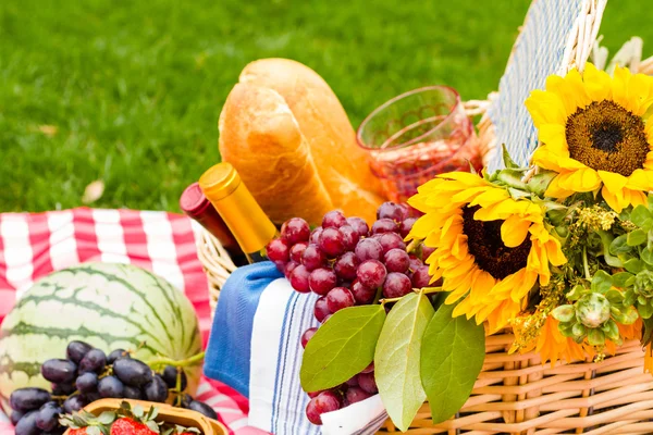 Picnic — Foto Stock