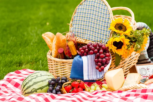 Piknik — Stock fotografie