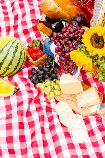 Picnic. — Foto de Stock