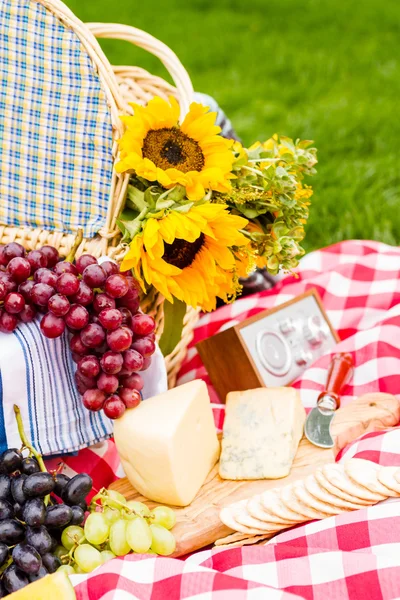 Picnic — Stock Photo, Image