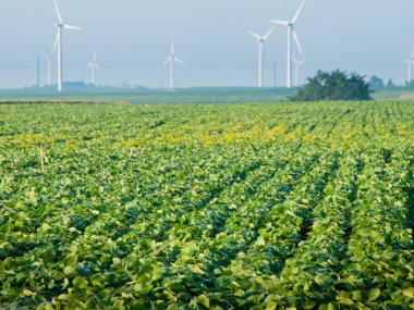 Rüzgar türbinleri çiftliği