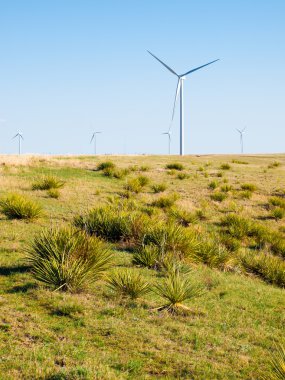 Rüzgar türbinleri çiftliği