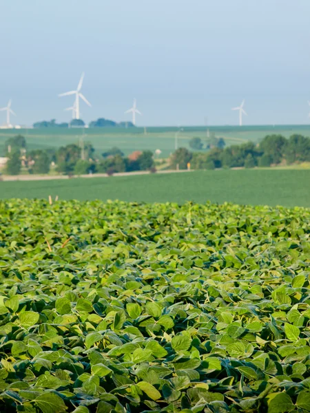 Windturbinepark — Stockfoto