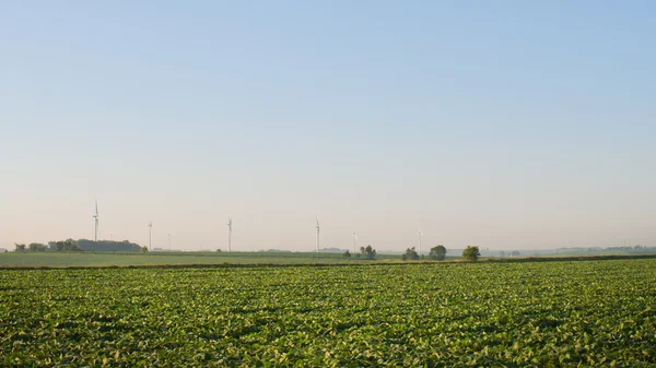 Windturbinepark — Stockfoto