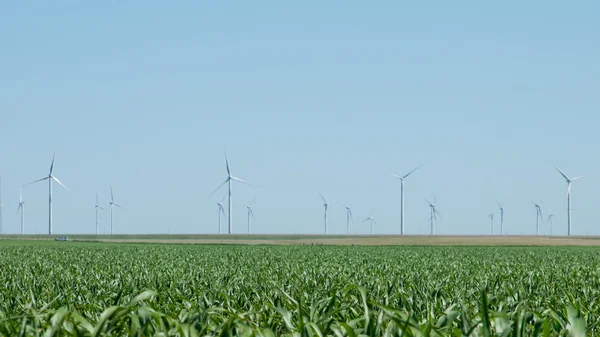 Parc d'éoliennes — Photo