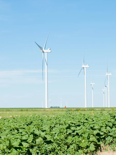 Parc d'éoliennes — Photo