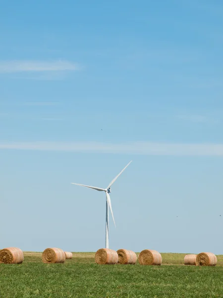 Windturbinepark — Stockfoto