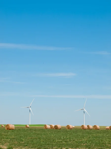 Parc d'éoliennes — Photo