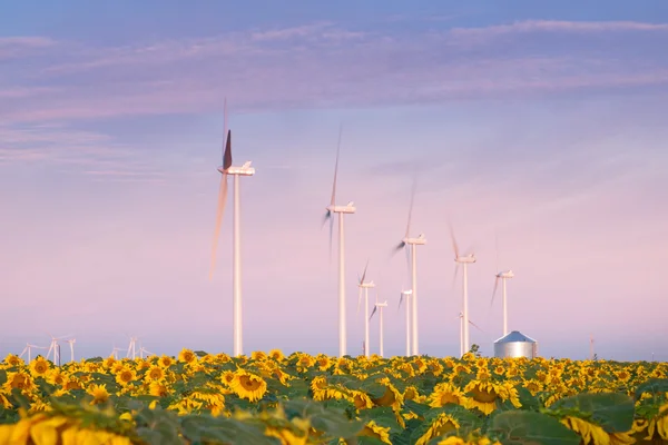 Wind turbines and sunflowers — Stock Photo, Image