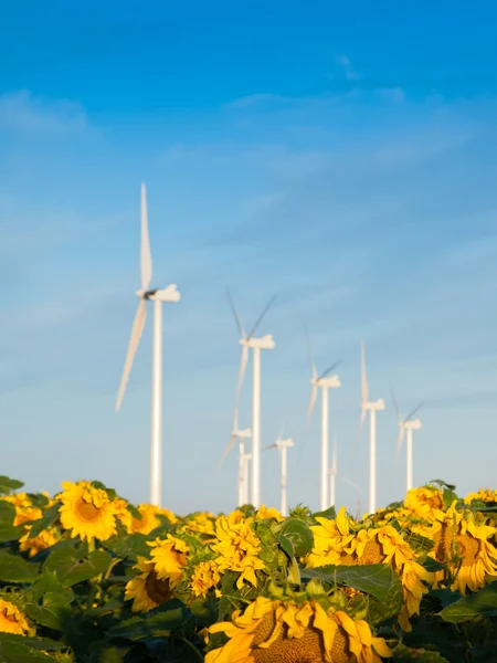 Turbinas eólicas y girasoles —  Fotos de Stock