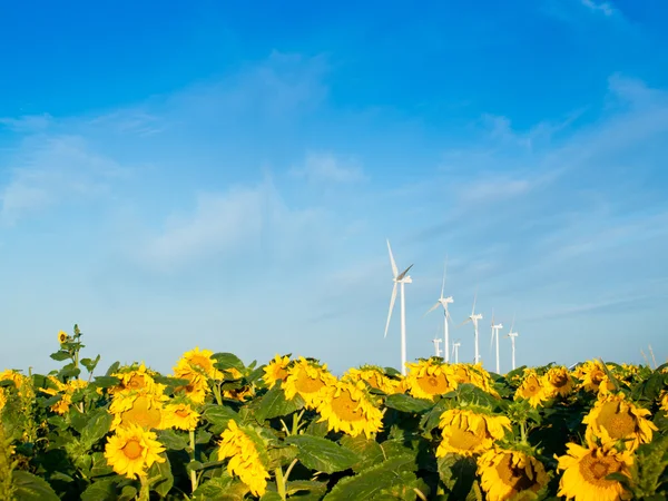 Wind turbines and sunflowers — Stock Photo, Image