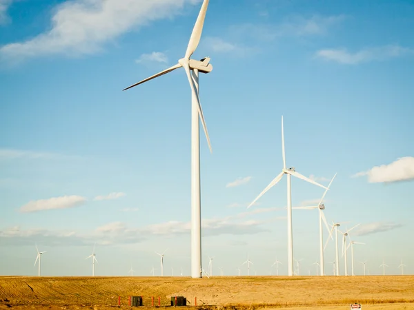 Parc d'éoliennes — Photo