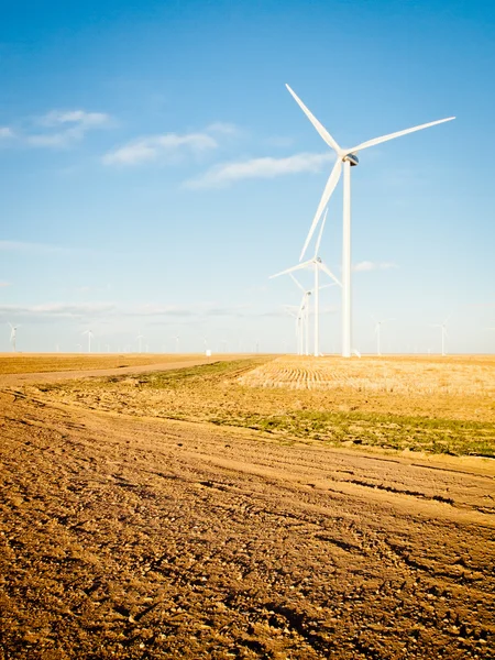 Parc d'éoliennes — Photo