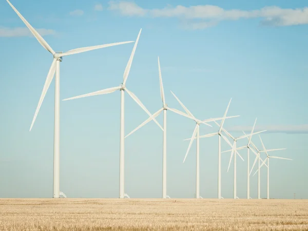 Wind turbines farm — Stock Photo, Image