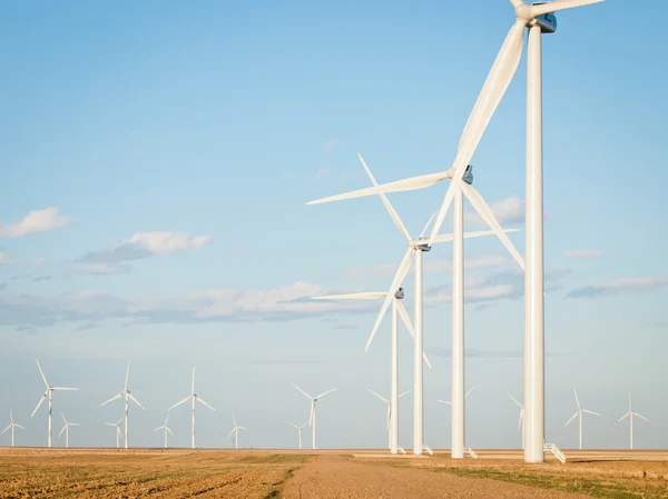 Parc d'éoliennes — Photo