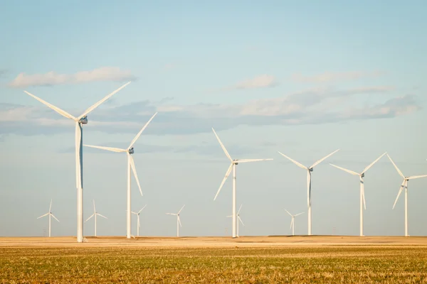 Parc d'éoliennes — Photo