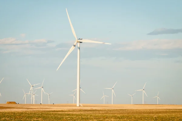 Parc d'éoliennes — Photo