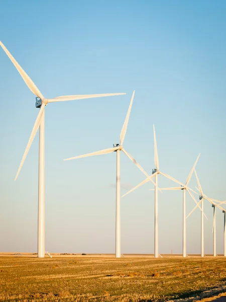 Wind turbines farm — Stock Photo, Image