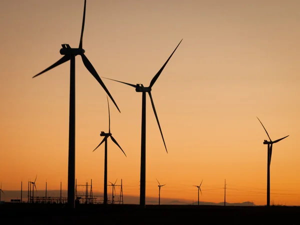 Wind turbines farm — Stock Photo, Image