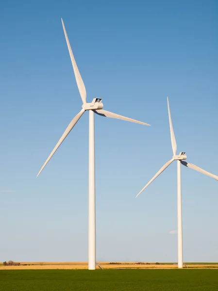 Wind turbines farm — Stock Photo, Image