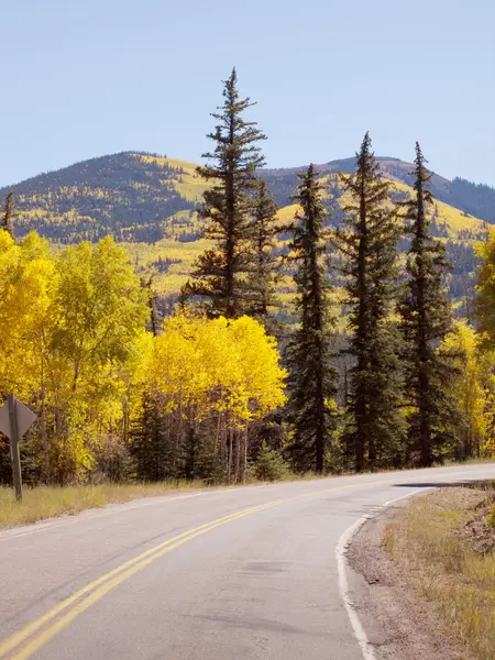 Autumn on the road — Stock Photo, Image