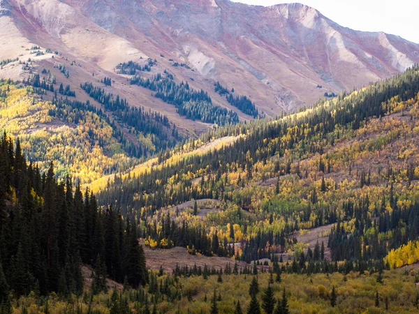 Otoño — Foto de Stock