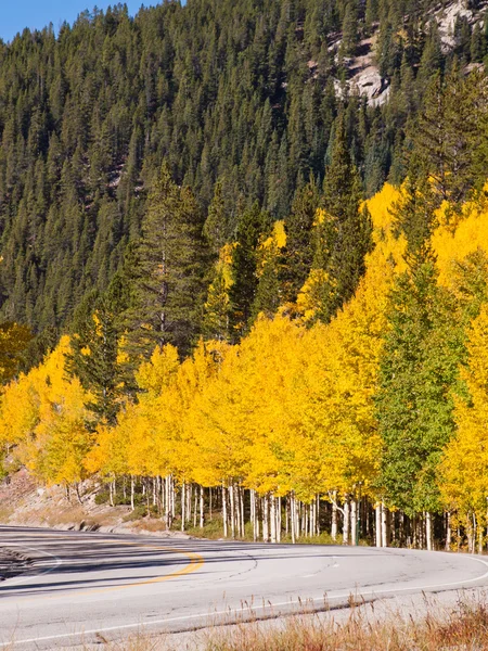 Podzim na silnici — Stock fotografie