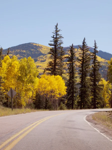 Autumn on the road — Stock Photo, Image