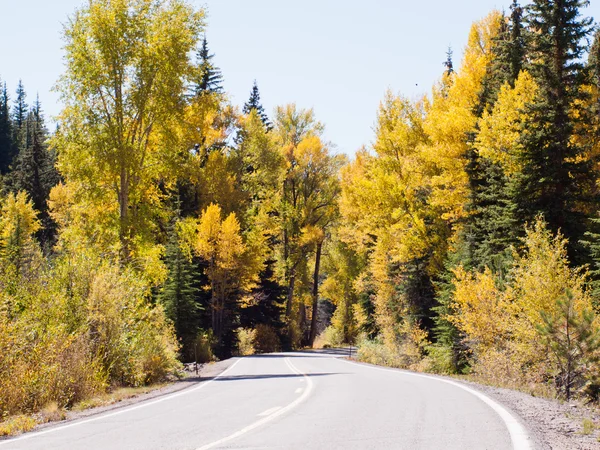 Outono na estrada — Fotografia de Stock