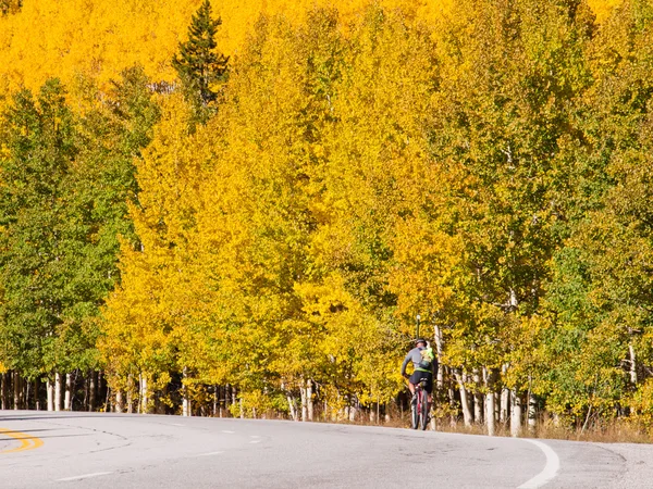 Bicicleta em Árvores Outono Aspen — Fotografia de Stock