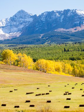 juego de decoración