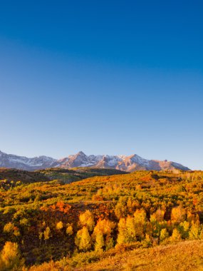 Dallas bölünmeyi sonbahar