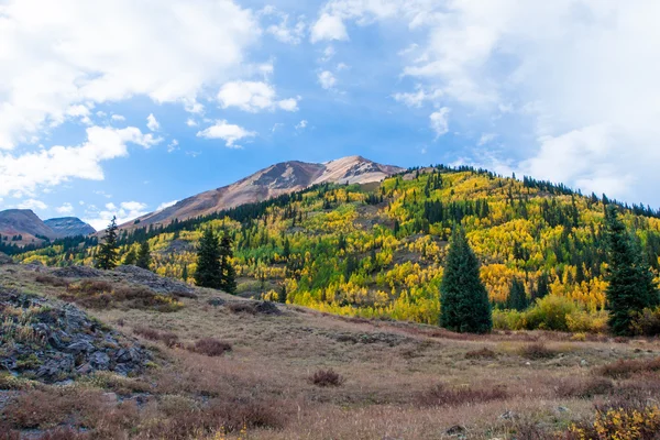 Herbst — Stockfoto