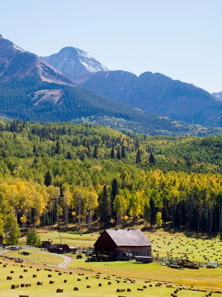 Forgotten Farm — Stock Photo, Image