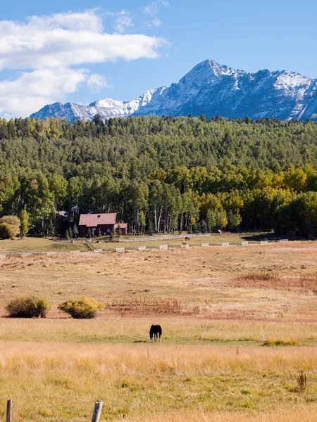 Forgotten Farm — Stock Photo, Image