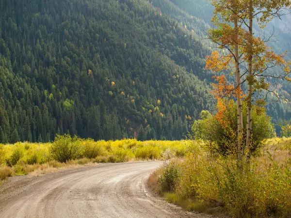 Autumn — Stock Photo, Image