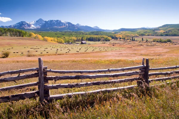 Forgotten Farm — Stock Photo, Image