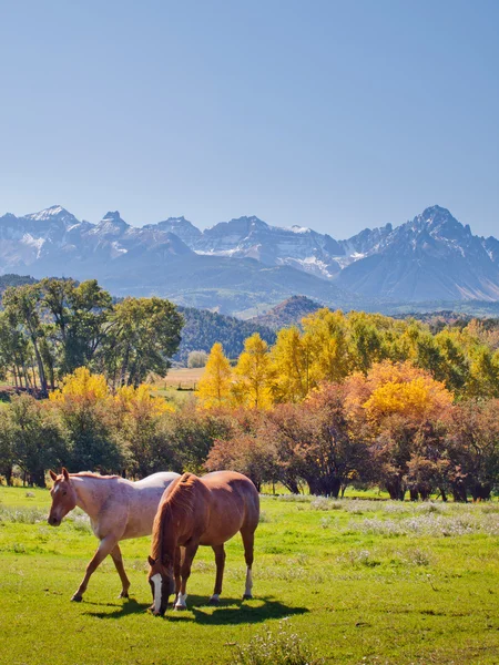 Autumn on the Ranch — Stock Photo, Image