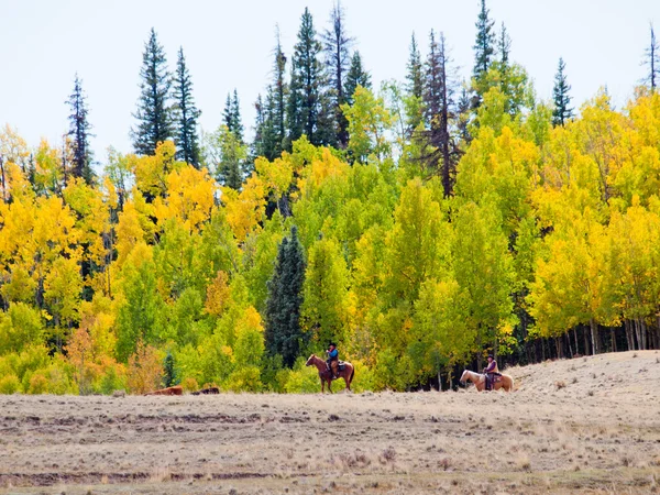 Zwei Cowboys — Stockfoto