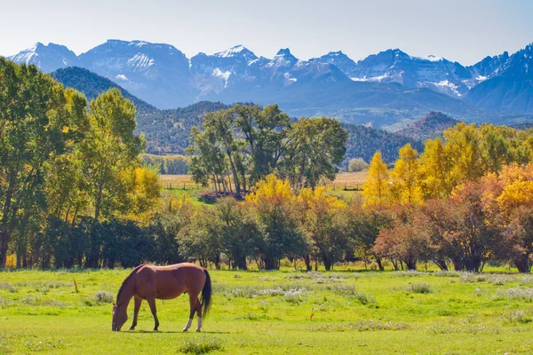Autumn on the Ranch — Stock Photo, Image