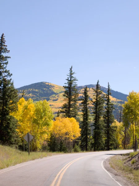 Autumn on the road — Stock Photo, Image