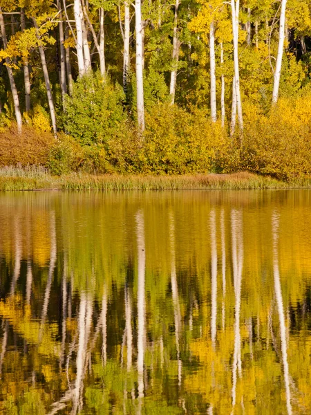 Идеальное отражение — стоковое фото