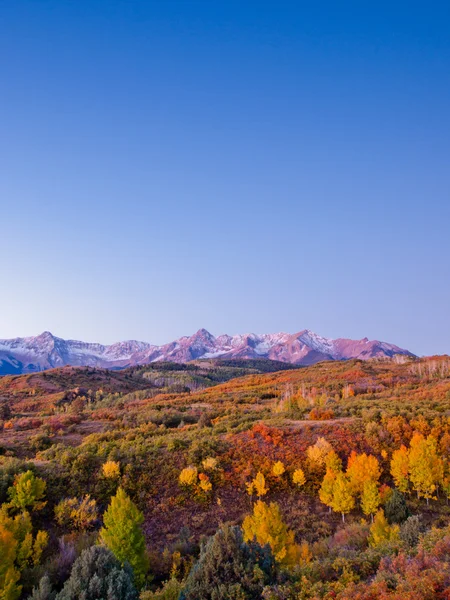 Dallas se divide en otoño —  Fotos de Stock