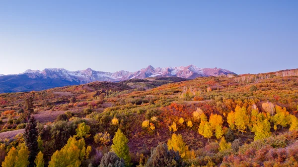 Dallas se divide en otoño — Foto de Stock