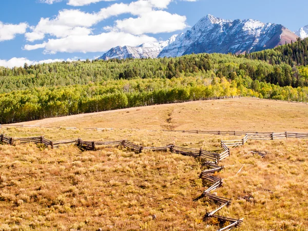 Forgotten Farm — Stock Photo, Image